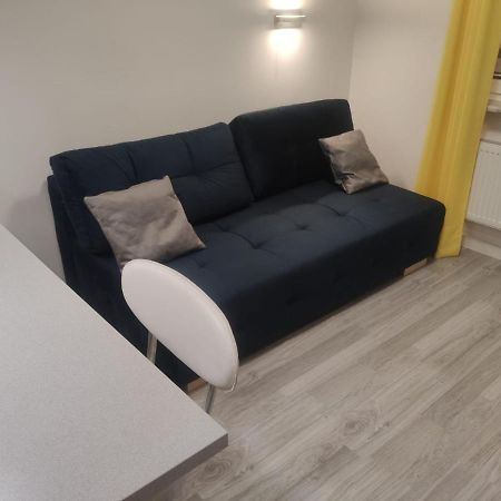 Comfortable Studio Only 20 Minutes From International Conference Center Katowice Best Place For Wuf2022 Eec Tnf Off Etc Семяновице-Слёнске Экстерьер фото