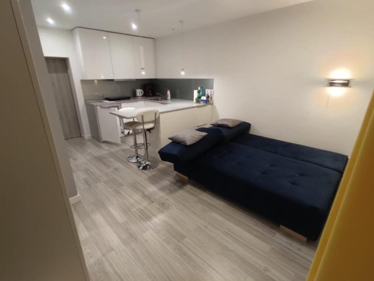 Comfortable Studio Only 20 Minutes From International Conference Center Katowice Best Place For Wuf2022 Eec Tnf Off Etc Семяновице-Слёнске Экстерьер фото