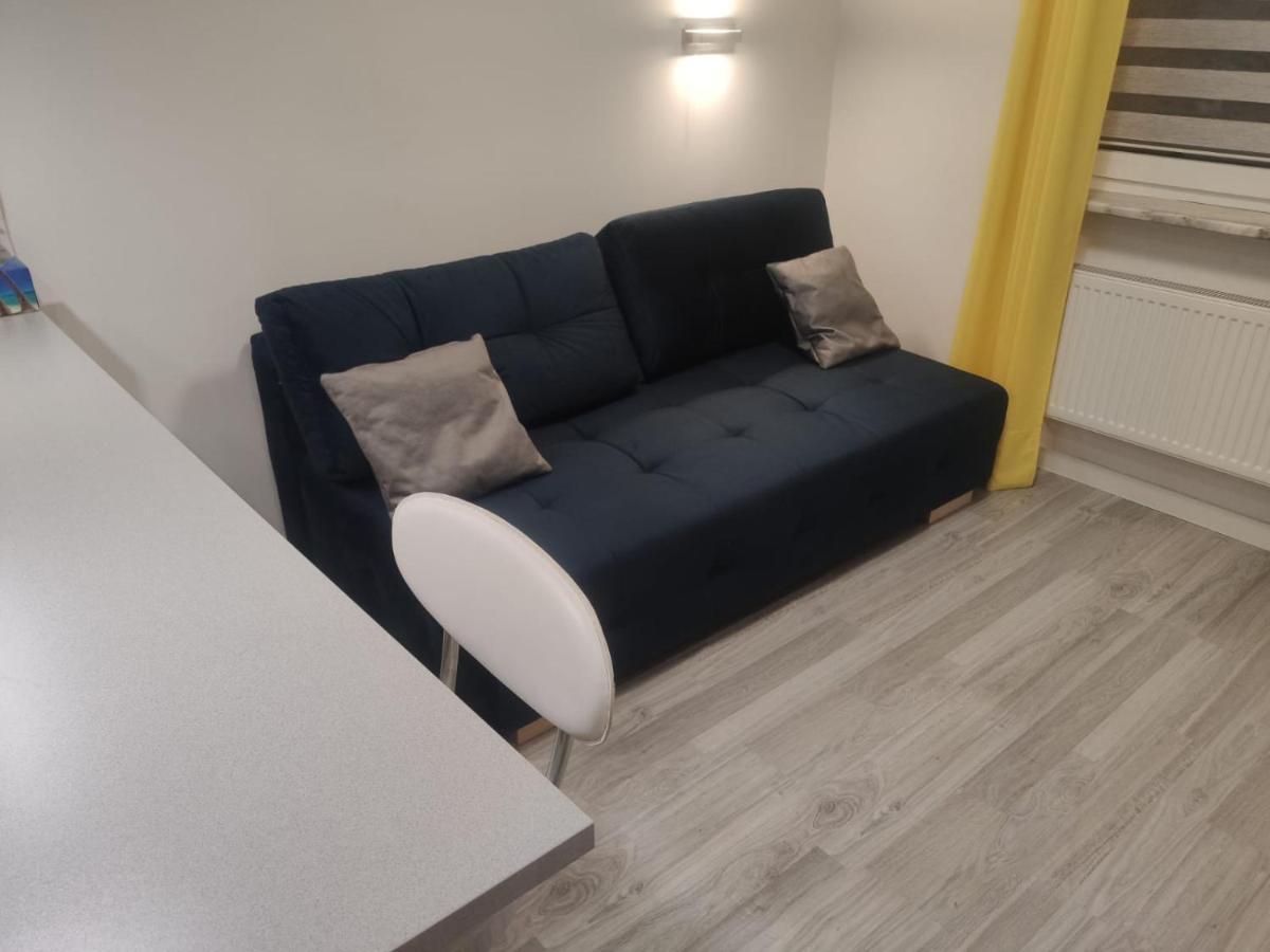 Comfortable Studio Only 20 Minutes From International Conference Center Katowice Best Place For Wuf2022 Eec Tnf Off Etc Семяновице-Слёнске Экстерьер фото